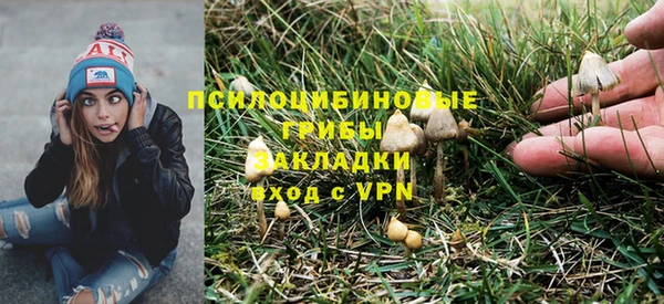 каннабис Абаза