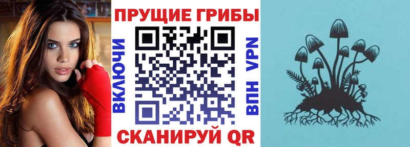 Галлюциногенные грибы мухоморы продажа наркотиков Электроугли
